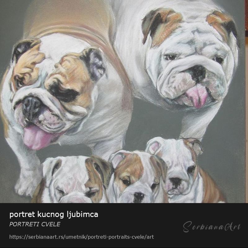 portret kucnog ljubimca, Pastel/Papir, PORTRETI CVELE