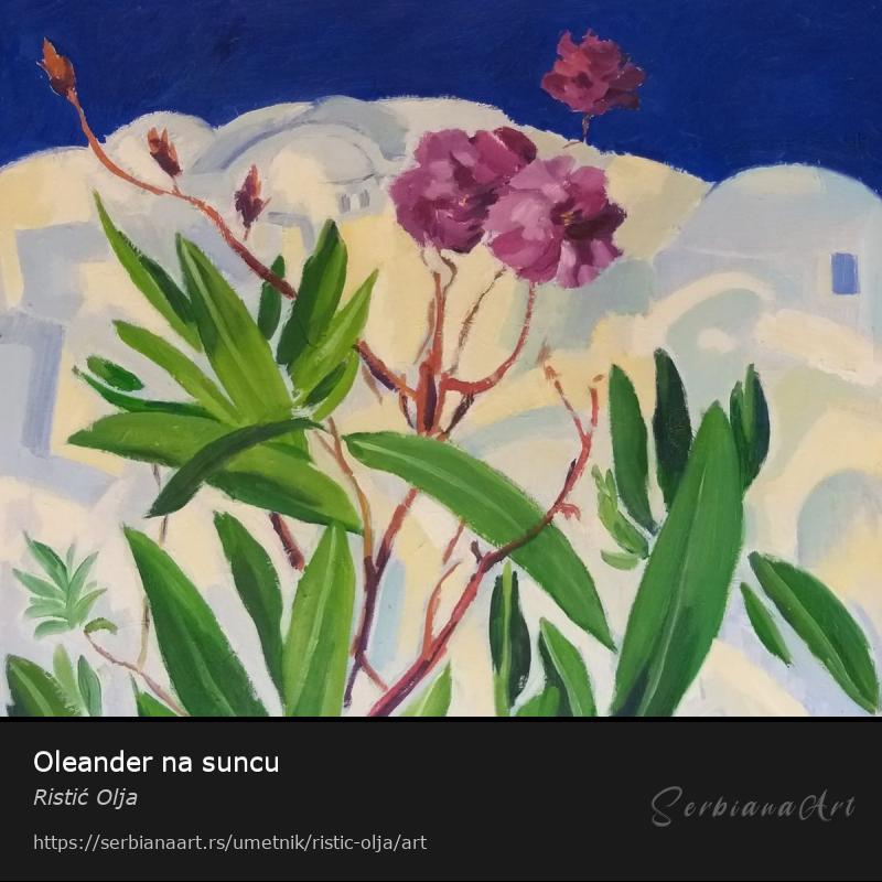 Oleander na suncu, Ulje/Platno, Ristić Olja