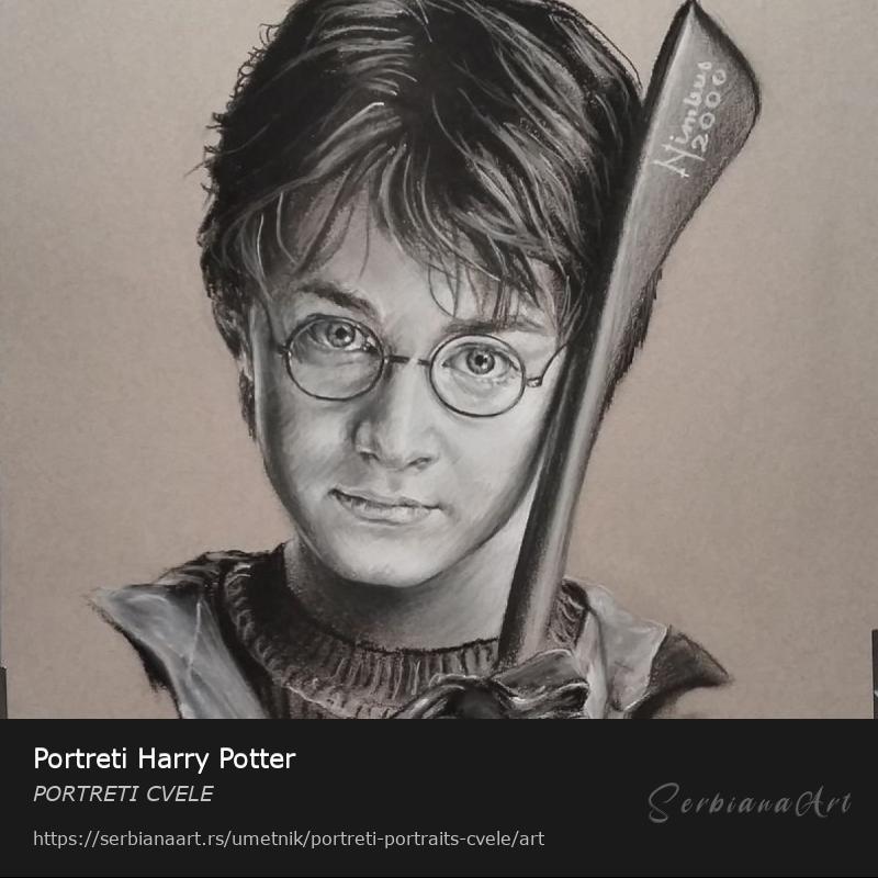 Portreti Harry Potter, Pastel/Papir, PORTRETI CVELE