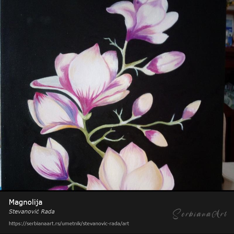 Magnolija, Kreativna rukotvorina/Platno, Stevanović Rada