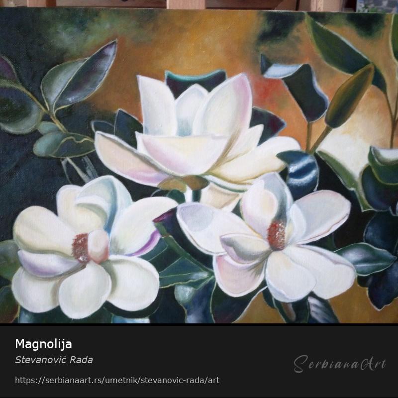 Magnolija, Kreativna rukotvorina/Platno, Stevanović Rada