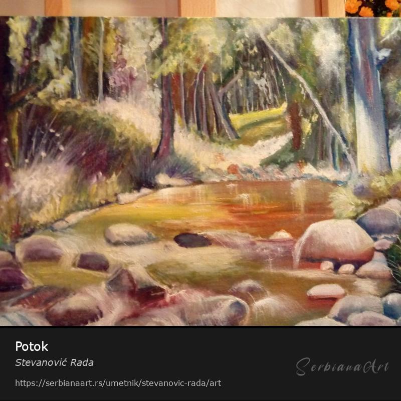 Potok, Kreativna rukotvorina/Platno, Stevanović Rada