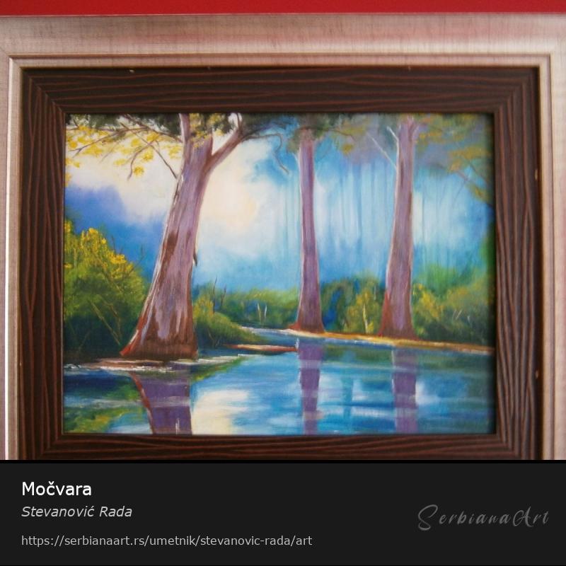 Močvara, Kreativna rukotvorina/Platno, Stevanović Rada