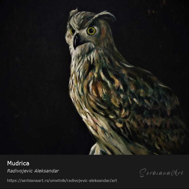 Mudrica, Ulje/Platno, Radivojevic Aleksandar