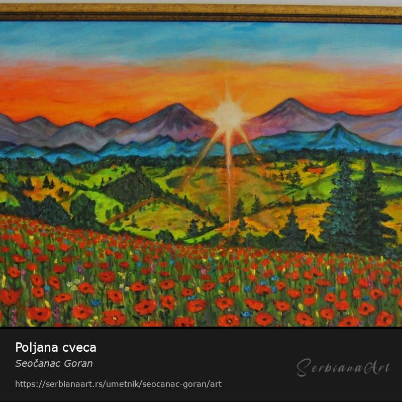 Poljana cveca, Ulje/Platno, Seočanac Goran