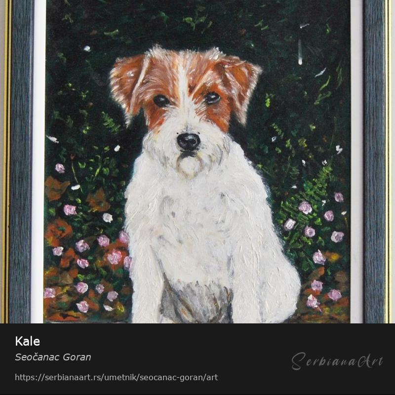 Kale, Ulje/Platno, Seočanac Goran