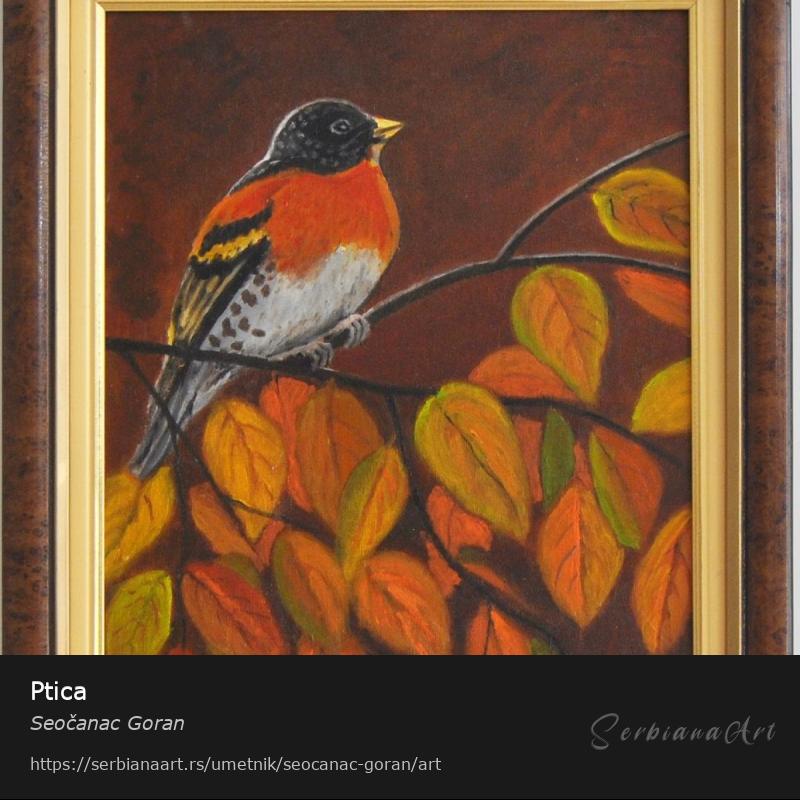 Ptica, Ulje/Platno, Seočanac Goran