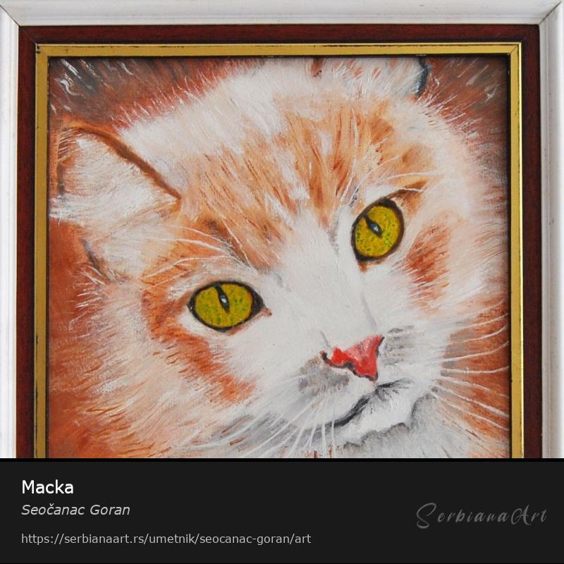 Macka, Ulje/Platno, Seočanac Goran