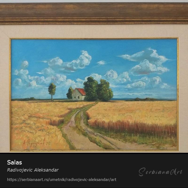 Salas, Ulje/Platno, Radivojevic Aleksandar