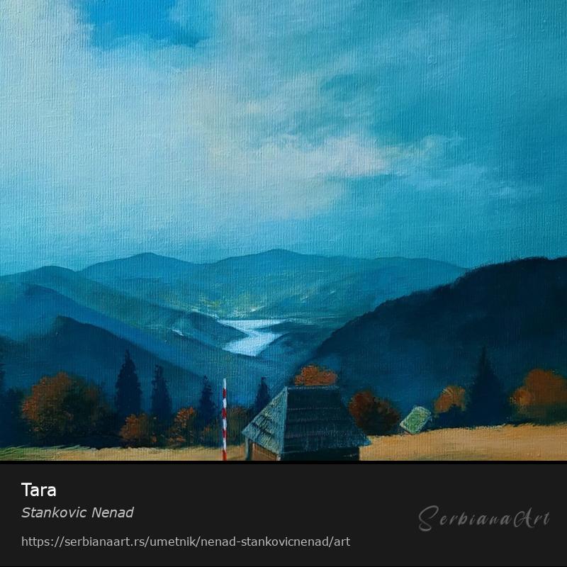 Tara, Kombinovano/Platno, Stankovic Nenad