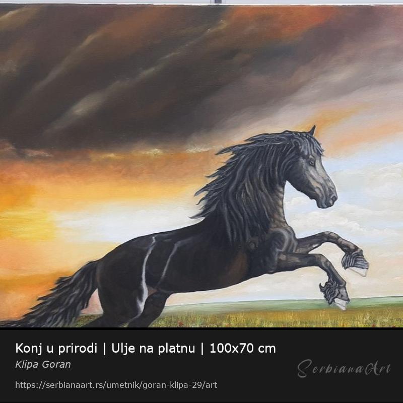Konj u prirodi | Ulje na platnu | 100x70 cm, Ulje/Platno, Klipa Goran