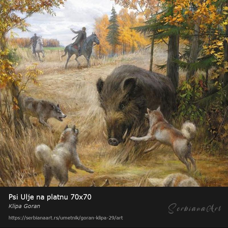 Psi Ulje na platnu 70x70, Ulje/Platno, Klipa Goran