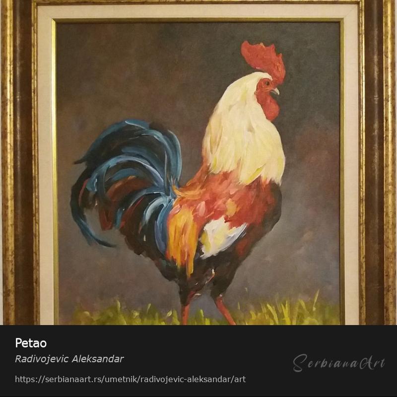 Petao, Ulje/Platno, Radivojevic Aleksandar