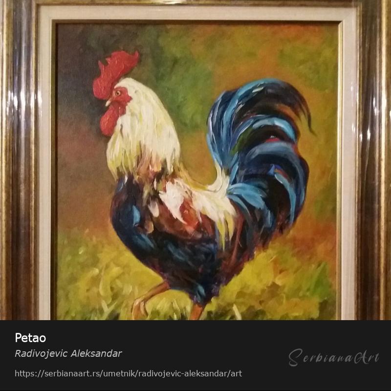 Petao, Ulje/Platno, Radivojevic Aleksandar
