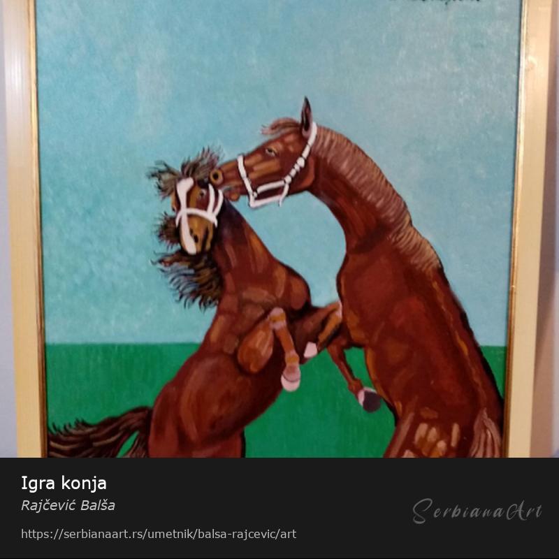 Igra konja, Akrilik/Medijapan, Rajčević Balša