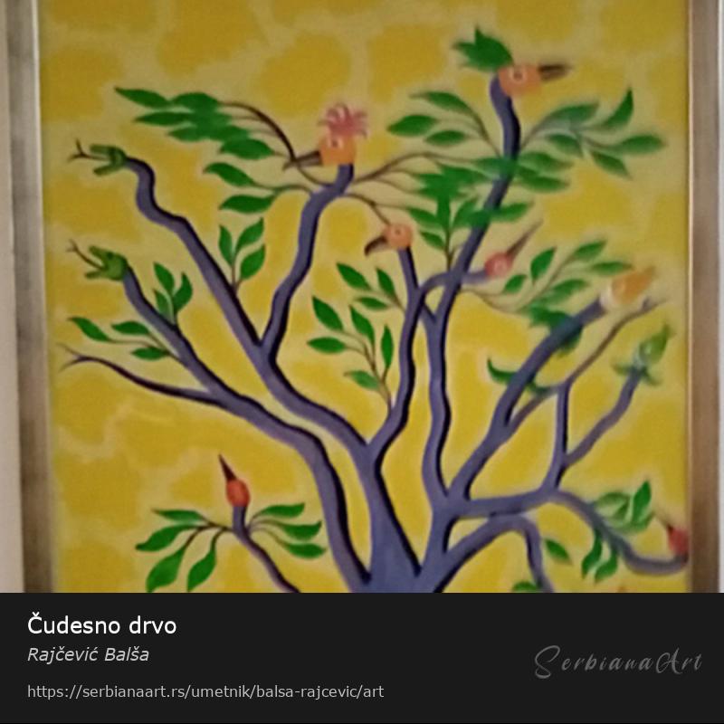 Čudesno drvo, Akrilik/Medijapan, Rajčević Balša