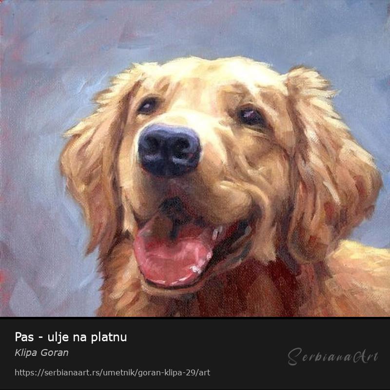 Pas - ulje na platnu, Ulje/Platno, Klipa Goran
