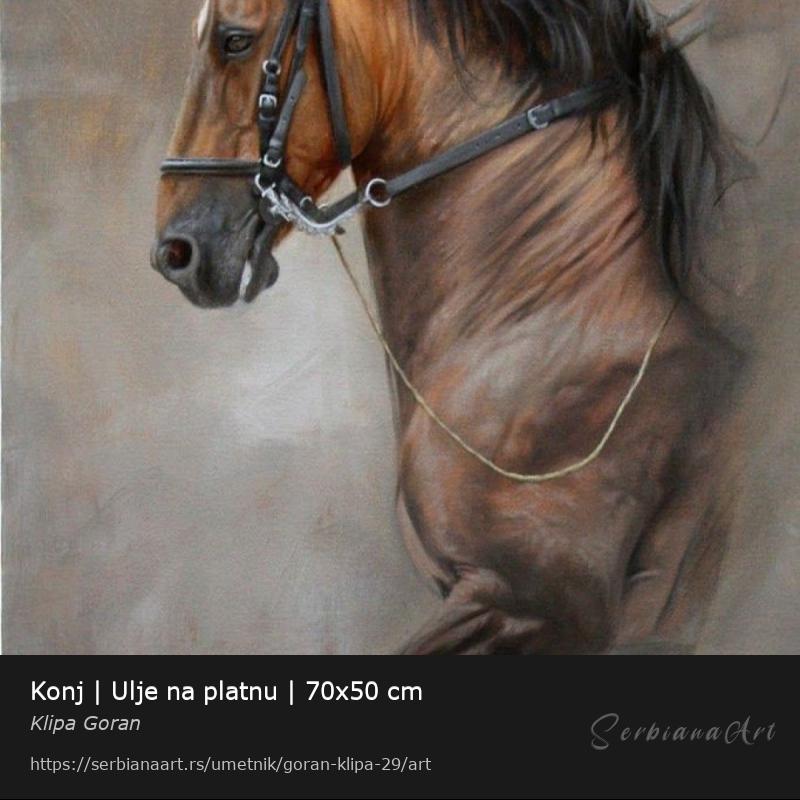 Konj | Ulje na platnu | 70x50 cm, Ulje/Platno, Klipa Goran