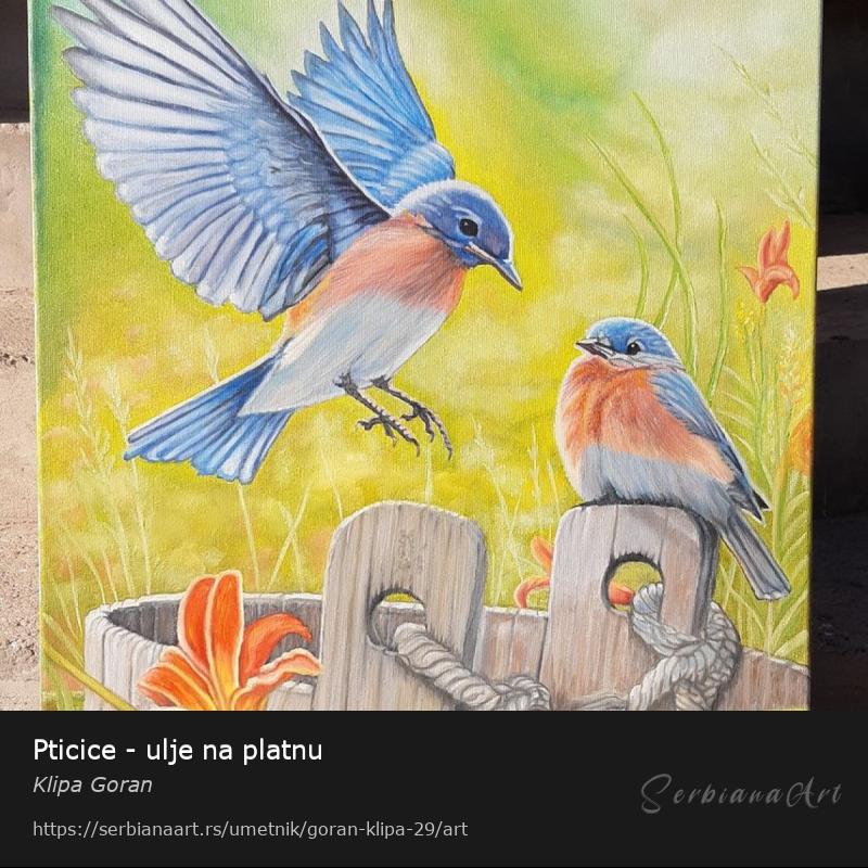 Pticice - ulje na platnu, Ulje/Platno, Klipa Goran