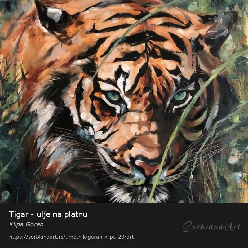 Tigar - ulje na platnu, Ulje/Platno, Klipa Goran