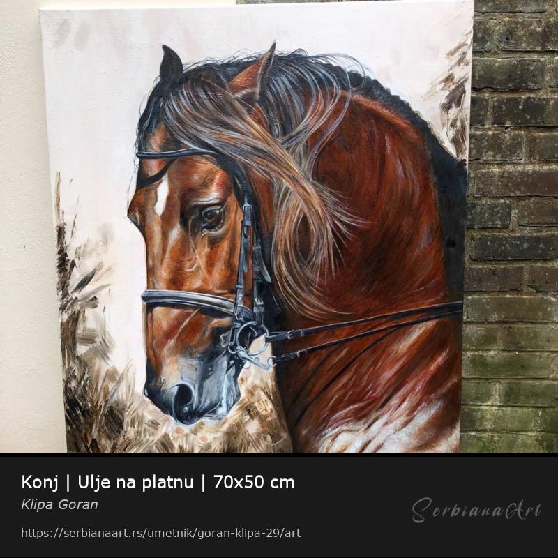 Konj | Ulje na platnu | 70x50 cm, Ulje/Platno, Klipa Goran