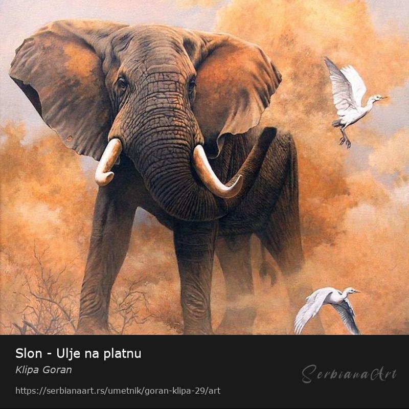 Slon - Ulje na platnu, Ulje/Platno, Klipa Goran