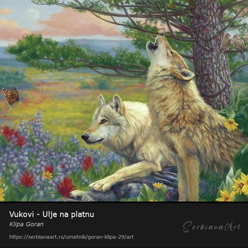 Vukovi - Ulje na platnu, Ulje/Platno, Klipa Goran