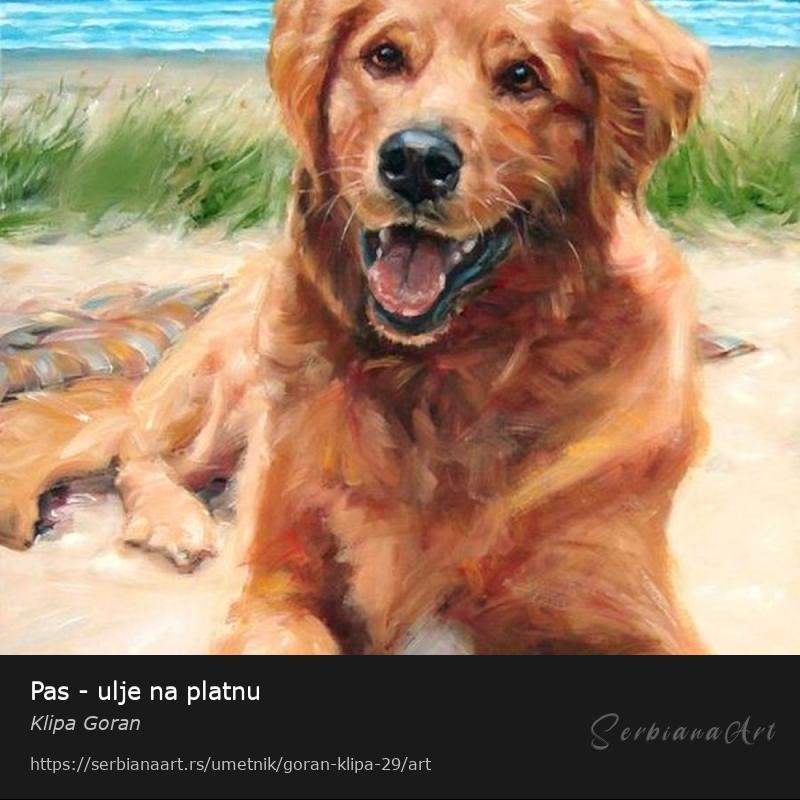 Pas - ulje na platnu, Ulje/Platno, Klipa Goran