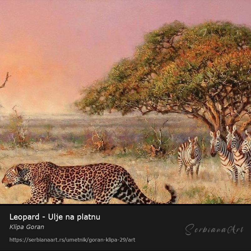 Leopard - Ulje na platnu, Ulje/Platno, Klipa Goran