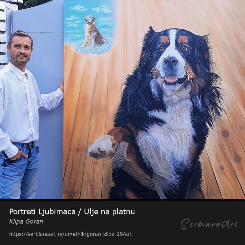 Portreti Ljubimaca / Ulje na platnu, Ulje/Platno, Klipa Goran