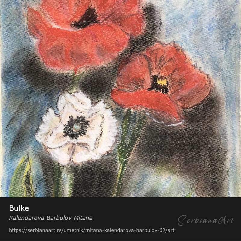 Bulke, Pastel/Šperploča, Kalendarova Barbulov Mitana