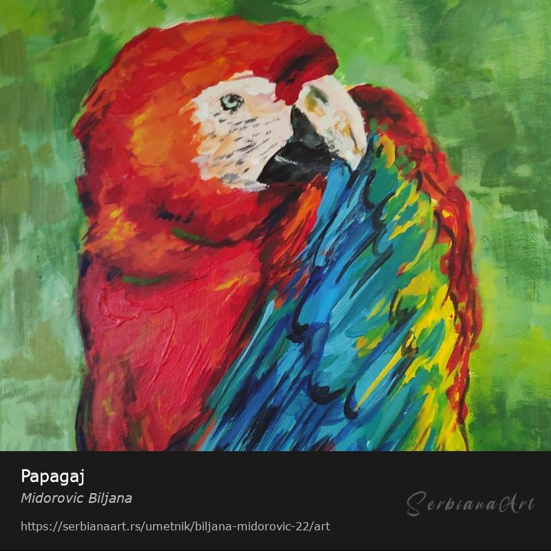 Papagaj, Akrilik/Platno, Midorovic Biljana
