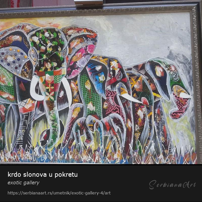 krdo slonova u pokretu, Ulje/Platno, exotic gallery