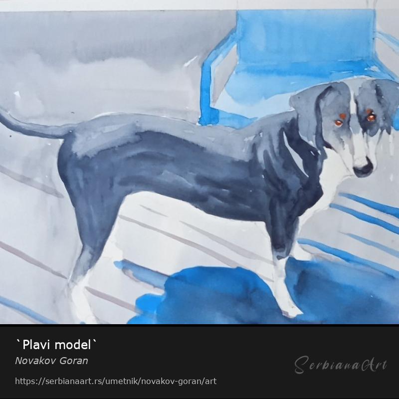 `Plavi model`, Vodene boje/Papir, Novakov Goran