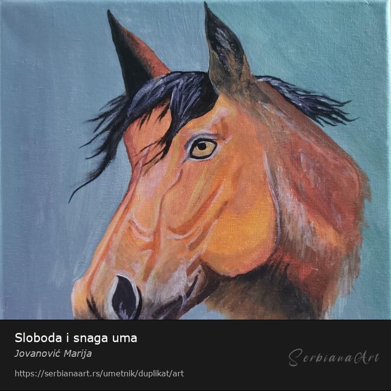 Sloboda i snaga uma, Akrilik/Platno, Jovanović Marija