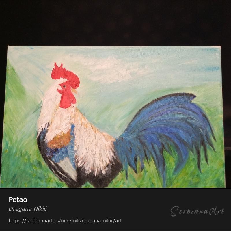 Petao, Akrilik/Platno, Dragana Nikić