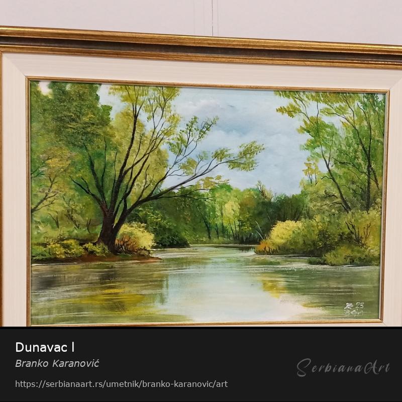 Dunavac l, Akrilik/Platno, Branko Karanović