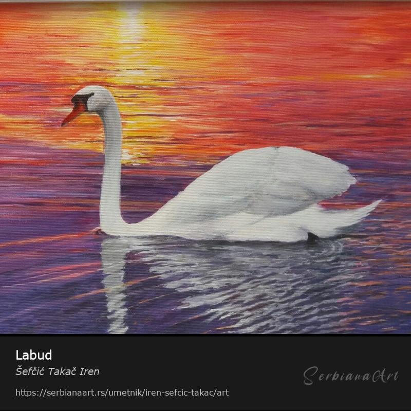 Labud, Akrilik/Platno, Šefčić Takač Iren