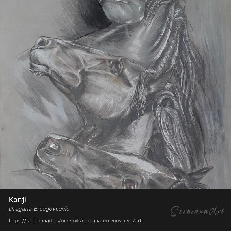 Konji, Pastel/Papir, Dragana Ercegovcevic