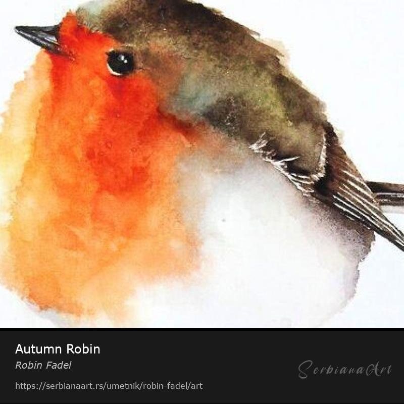 Autumn Robin, Vodene boje/Papir, Robin Fadel