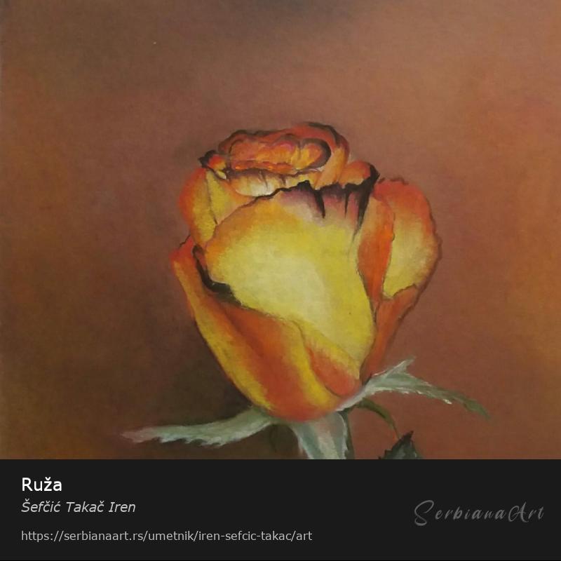 Ruža, Pastel/Papir, Šefčić Takač Iren