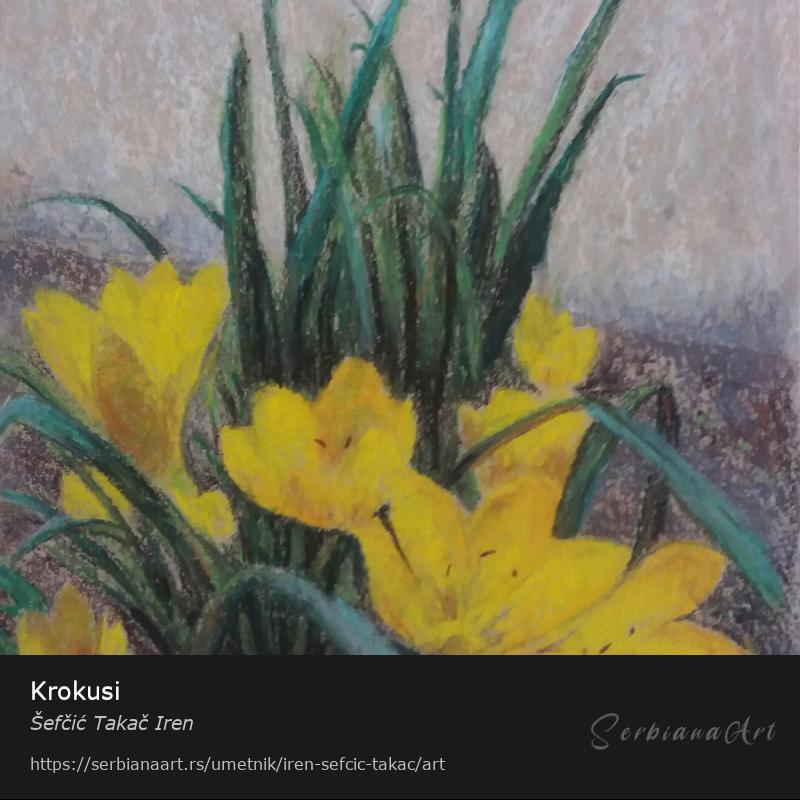 Krokusi, Pastel/Papir, Šefčić Takač Iren
