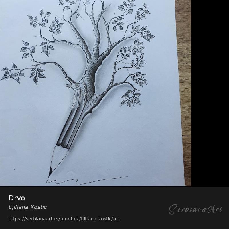 Drvo, Olovka/Papir, Ljiljana Kostic