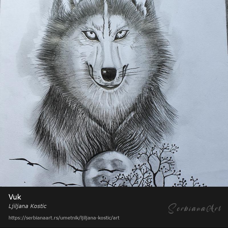 Vuk, Olovka/Papir, Ljiljana Kostic