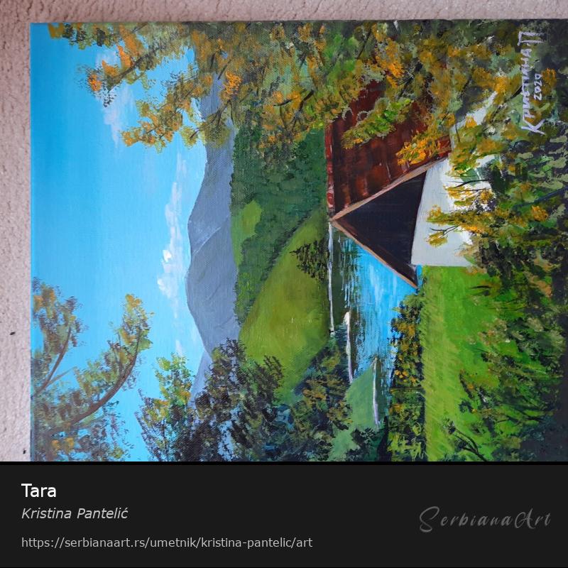 Tara, Akrilik/Platno, Kristina Pantelić