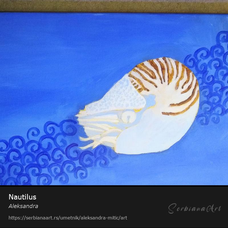 Nautilus, Akrilik/Platno, Aleksandra