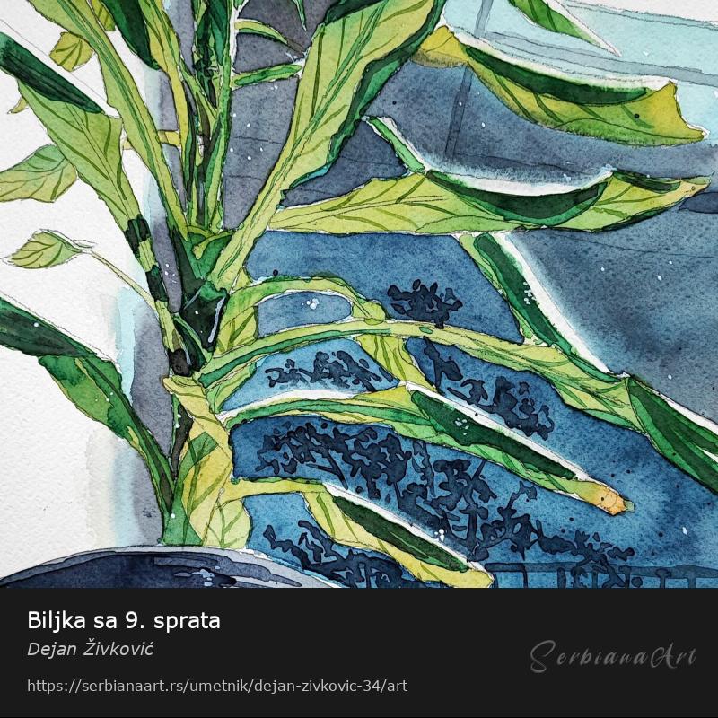 Biljka sa 9. sprata, Vodene boje/Papir, Dejan Živković