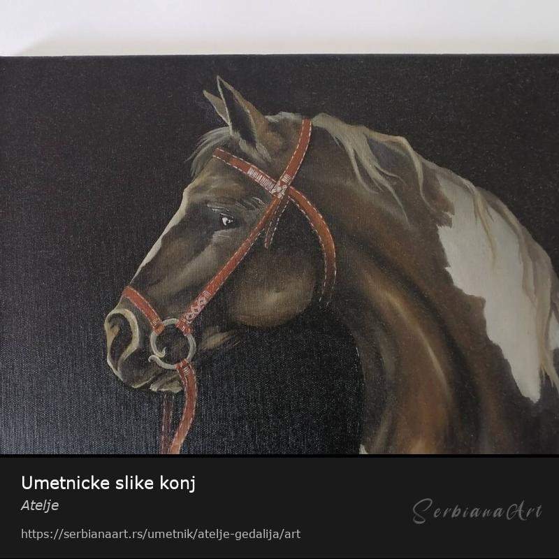 Umetnicke slike konj, Ulje/Platno, Atelje 