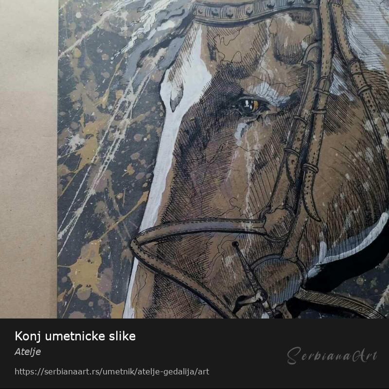 Konj umetnicke slike, Kombinovano/Papir, Atelje 