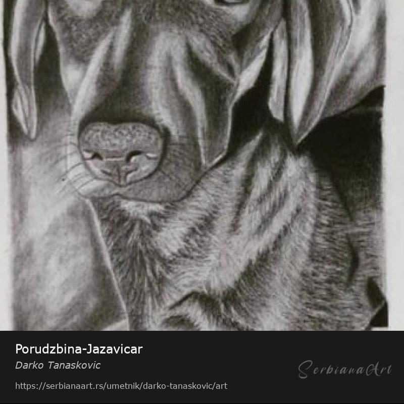 Porudzbina-Jazavicar, Olovka/Papir, Darko Tanaskovic